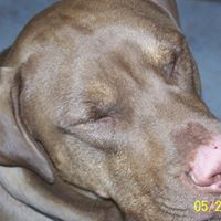 Marcia Alexander Photo 26