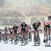 David Danielson Photo 39