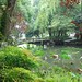 Xiaoying Hu Photo 6