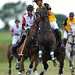 Mark Tomlinson Photo 32