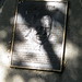 John Stanford Photo 43
