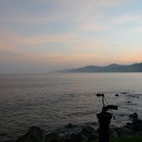 Robin Wenz Photo 5
