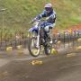 Alan Krause Photo 33