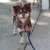 Linda Behrens Photo 18