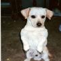 Sandi Robinson Photo 32
