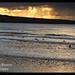 Clare Noel Photo 8