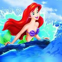 Ariel Sea Photo 11