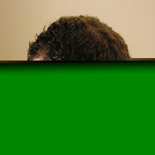 Jason Gregory Photo 21
