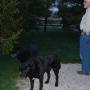 Kathy Whitley Photo 12
