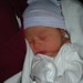 Andrew Shouse Photo 11