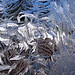 Crystal Bourque Photo 15