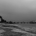 Misty Cromer Photo 15