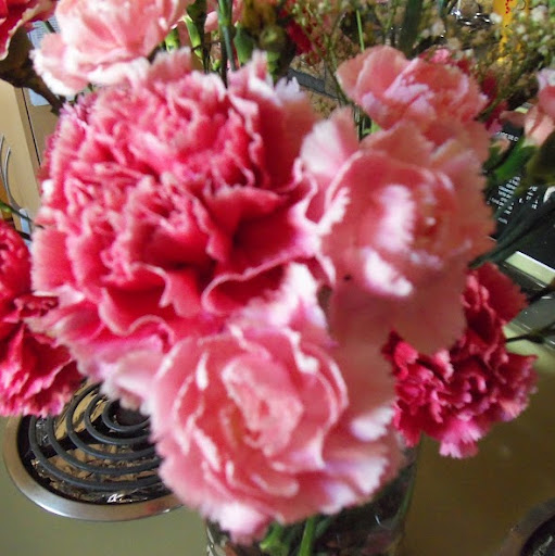 Debbie Graves Photo 37