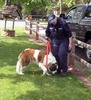 Karen Dougherty Photo 11
