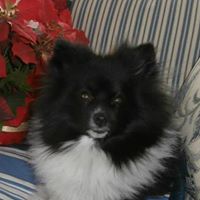 Linda Jewell Photo 26