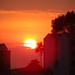 William Bonilla Photo 31