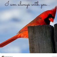 Maryann Ramirez Photo 16