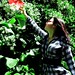 Lolita Rodriguez Photo 9