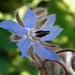 Carole Summers Photo 7