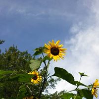 Mary Labrecque Photo 11