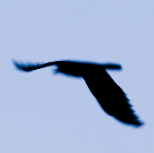 Allen Andrews Photo 12