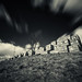 Andrew Kidd Photo 47