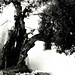 Blanca Callejas Photo 9
