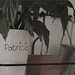 Patricia Kitchen Photo 16