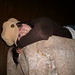 Melissa Alderson Photo 2