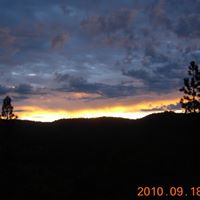 Larry Mcgill Photo 36