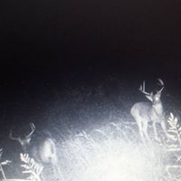 Rick Hyatt Photo 34