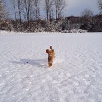 Jan Macdonald Photo 44