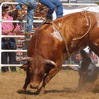 Jay Mccarthy Photo 11