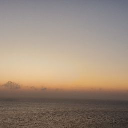 Thomas Wold Photo 27