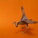 Daniel Crane Photo 25