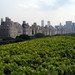 Gerald Cantor Photo 7