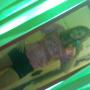 Mary Rapp Photo 34