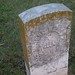 Thomas Welch Photo 14