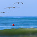Pete Slater Photo 7