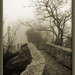 Richard Campana Photo 7