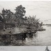 Robert Robertson Photo 43