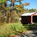 Autumn Bell Photo 37