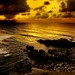 Jose Divina Photo 11