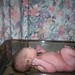 Alexander Davis Photo 11