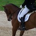 Phillip Conner Photo 47