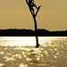 Jose Amador Photo 18