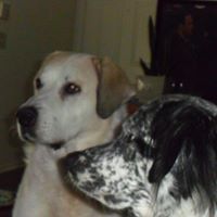 Brenda Ahlstrom Photo 6
