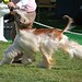 Joann Jones Photo 40