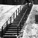 Joe Sexton Photo 42
