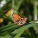 Margaret Land Photo 28